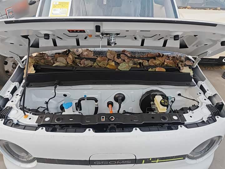 Фото 20 - Geely Galaxy Panda Mini