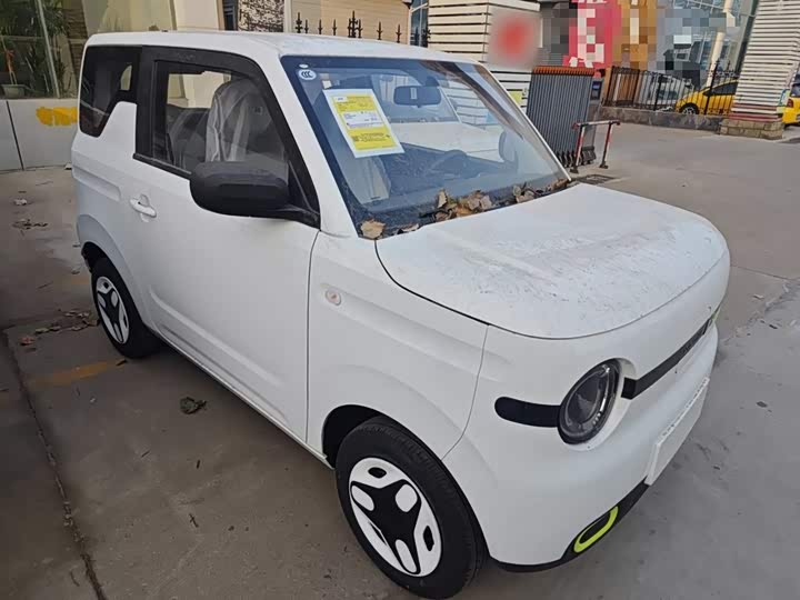 Фото 4 - Geely Galaxy Panda Mini