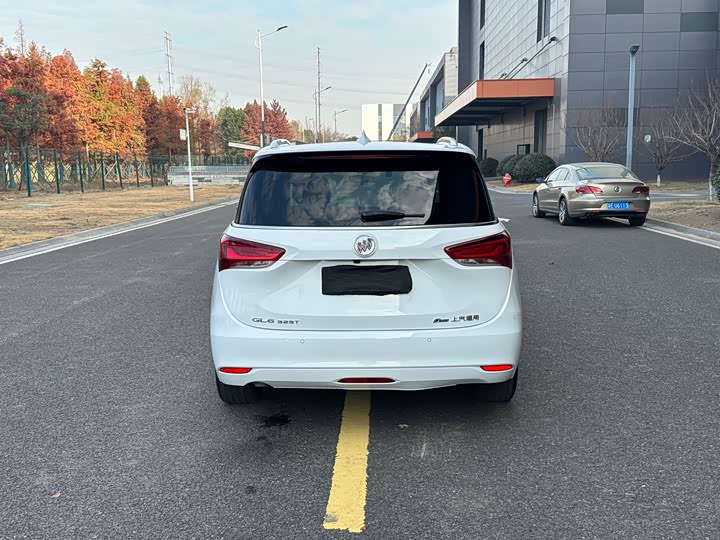 Фото 13 - Buick GL6