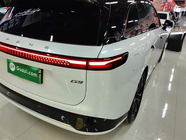 Фото 8 - XPeng G9