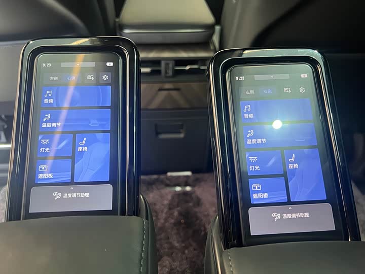 Фото 21 - Lexus LM