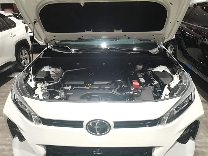 Фото 10 - Toyota Wildlander