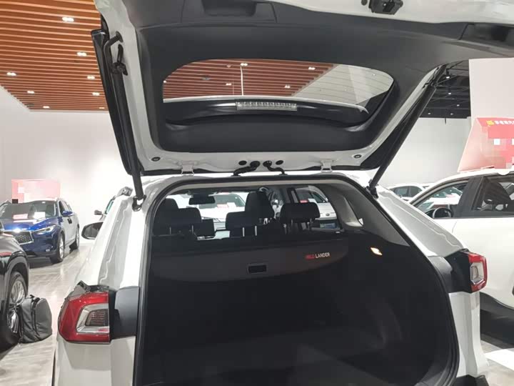 Фото 9 - Toyota Wildlander