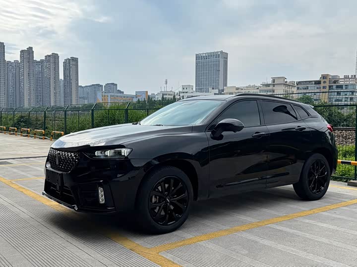 Фото 3 - Wey VV7