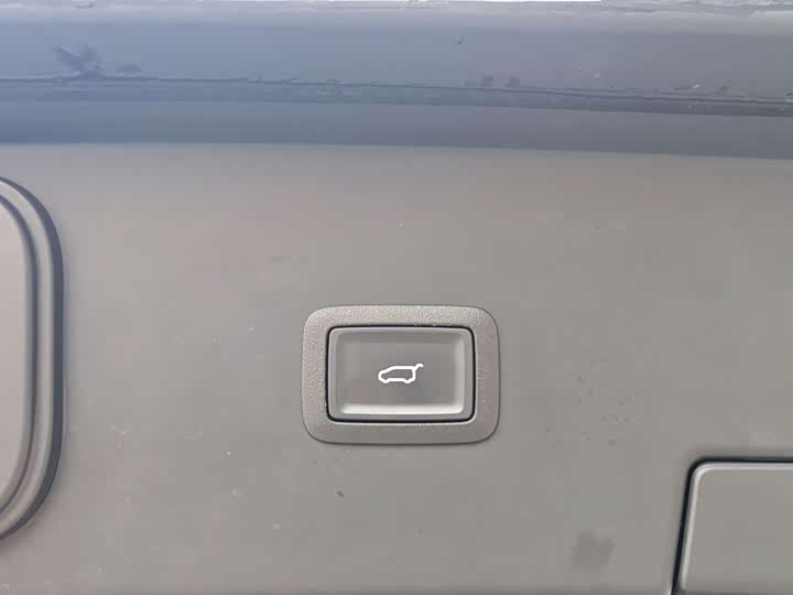 Фото 20 - Hongqi HQ9 Hybrid