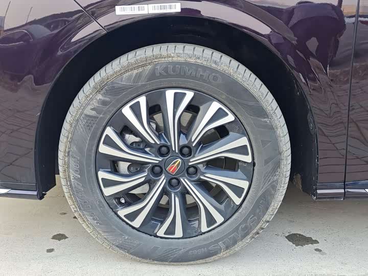 Фото 4 - Hongqi HQ9 Hybrid