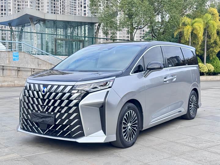 Фото 1 - Denza D9