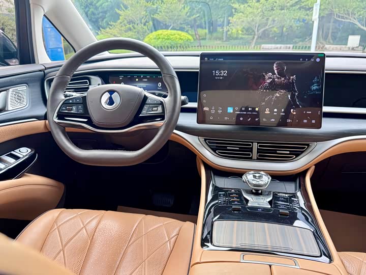 Фото 12 - Denza D9