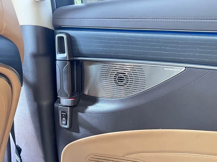 Фото 14 - Denza D9