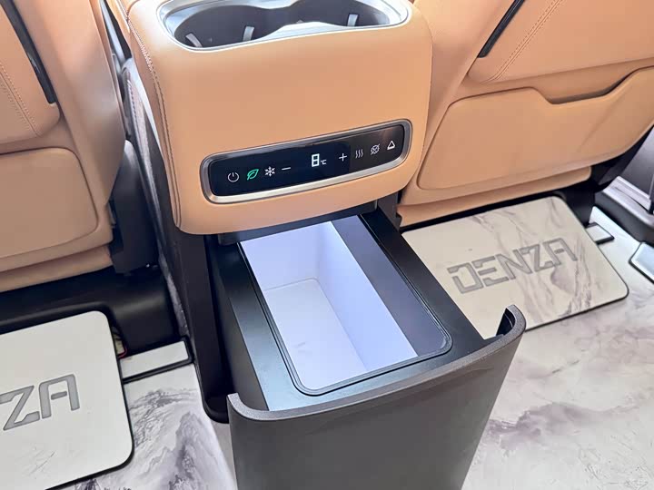 Фото 15 - Denza D9