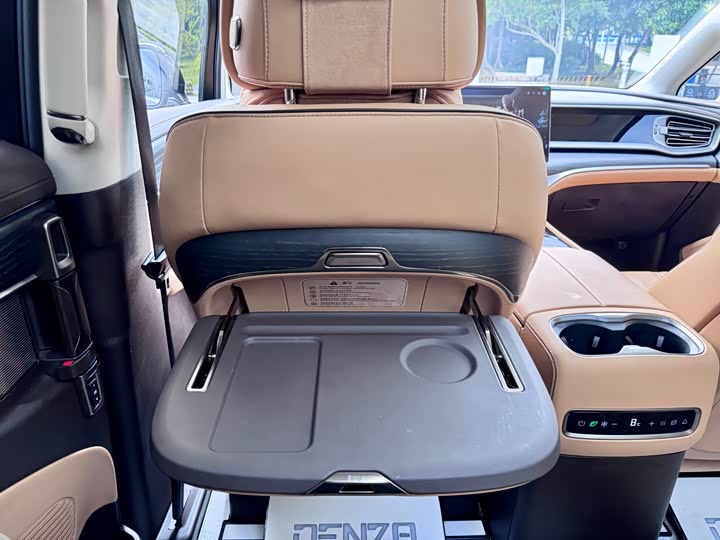 Фото 17 - Denza D9