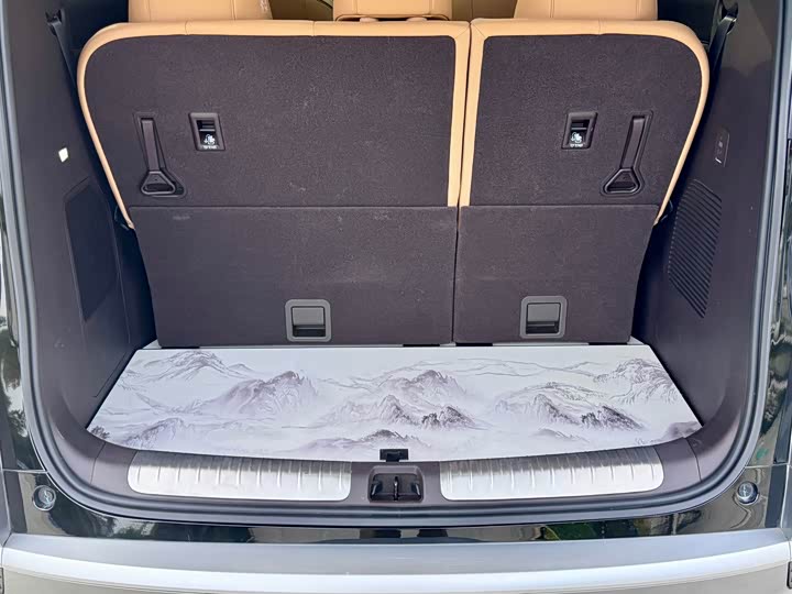 Фото 19 - Denza D9