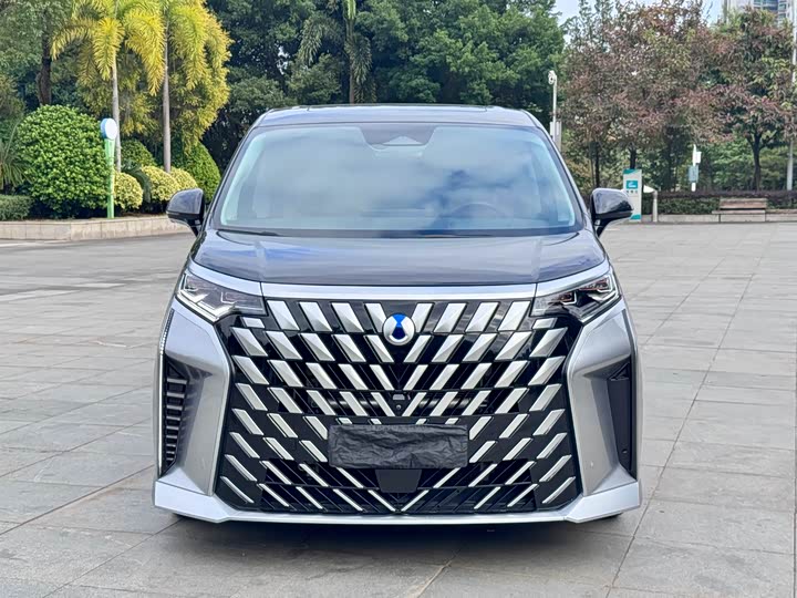 Фото 2 - Denza D9