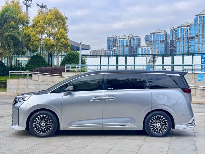 Фото 3 - Denza D9