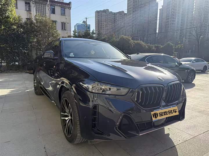 Фото 3 - BMW X6