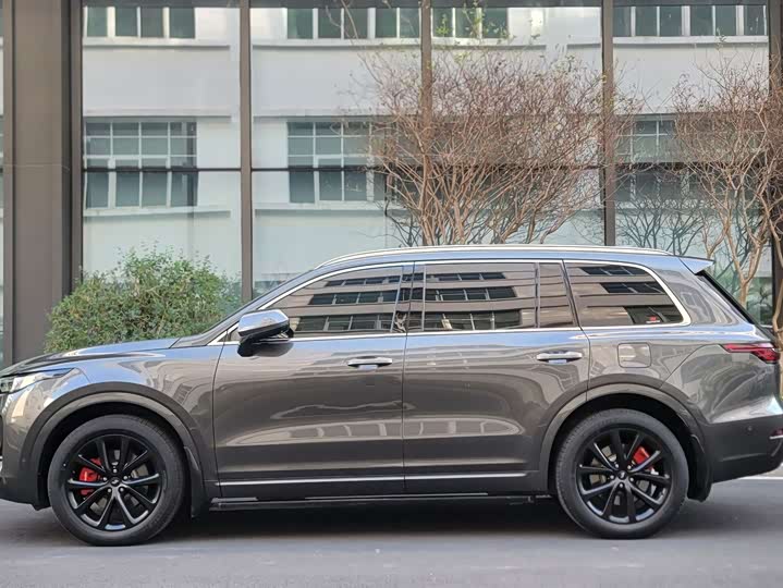 Фото 3 - LiXiang One