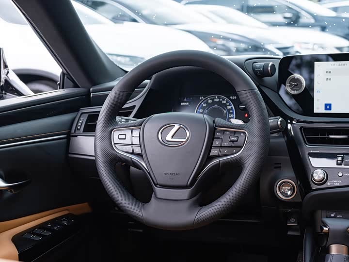 Фото 14 - Lexus ES