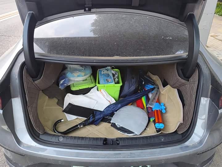 Фото 4 - BYD Han