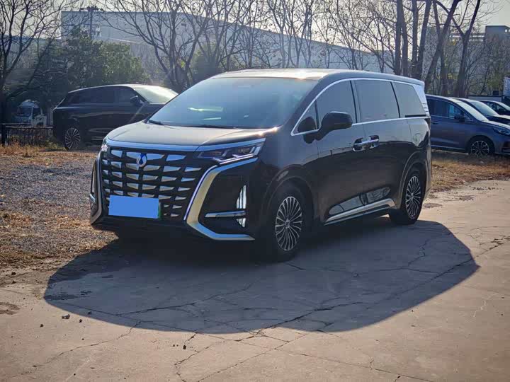 Фото 1 - Denza D9