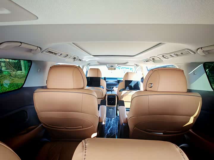 Фото 10 - Denza D9