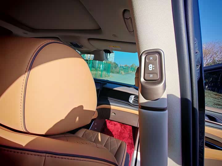 Фото 15 - Denza D9