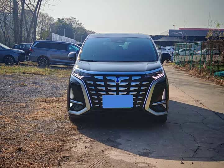 Фото 2 - Denza D9