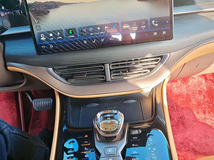 Фото 20 - Denza D9