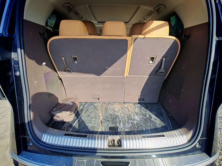 Фото 22 - Denza D9