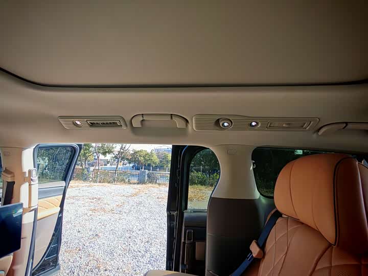 Фото 23 - Denza D9