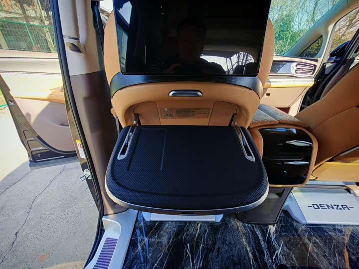 Фото 24 - Denza D9