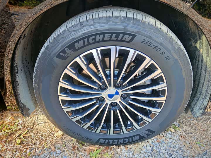 Фото 27 - Denza D9