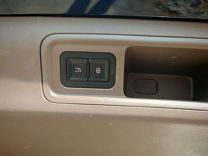 Фото 29 - Denza D9