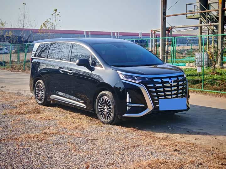 Фото 3 - Denza D9