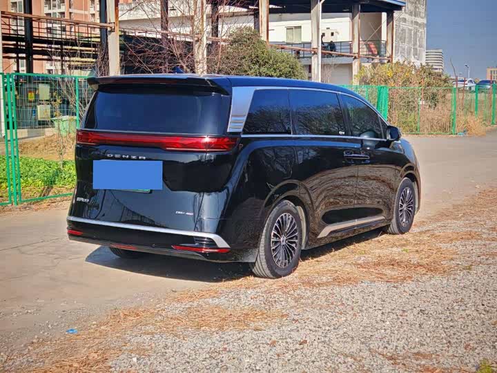 Фото 4 - Denza D9