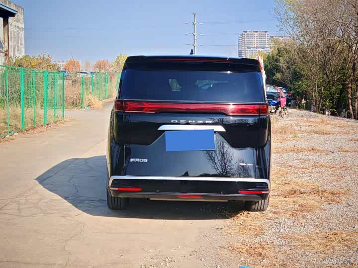 Фото 5 - Denza D9