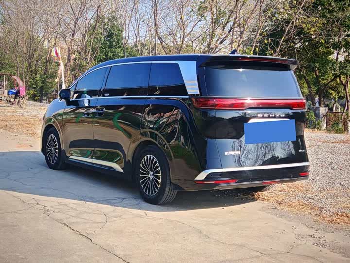 Фото 6 - Denza D9