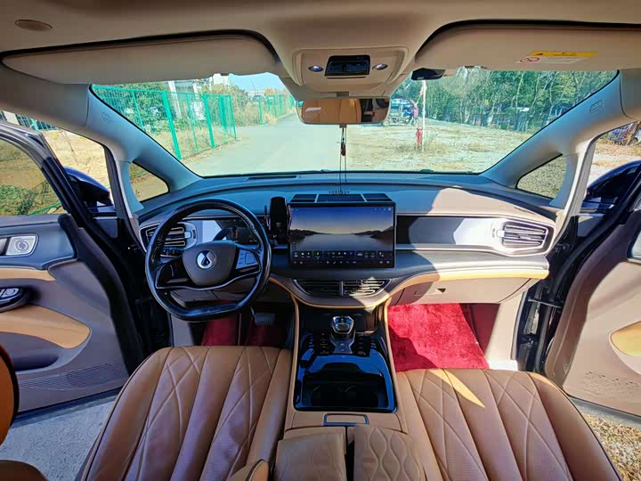 Фото 9 - Denza D9