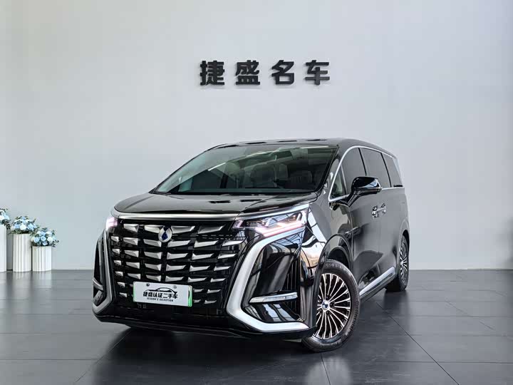 Фото 1 - Denza D9