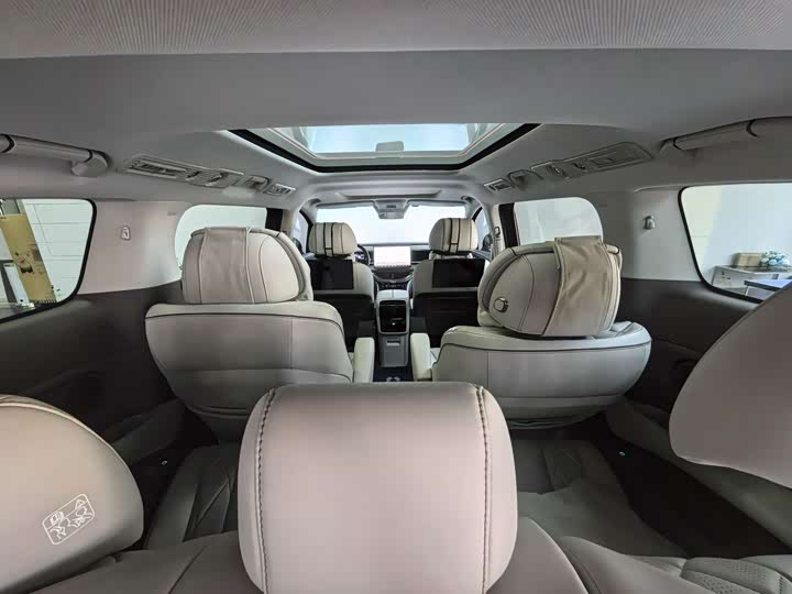 Фото 12 - Denza D9