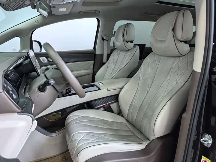 Фото 14 - Denza D9