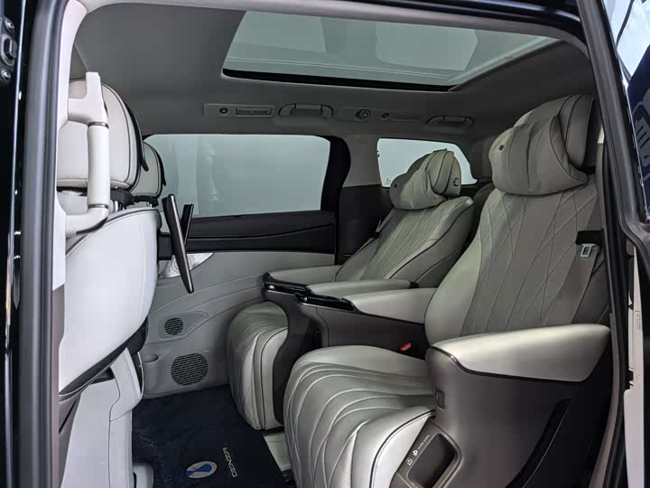 Фото 15 - Denza D9