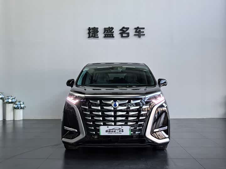 Фото 2 - Denza D9