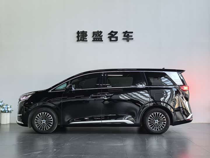 Фото 3 - Denza D9