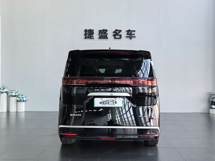 Фото 5 - Denza D9