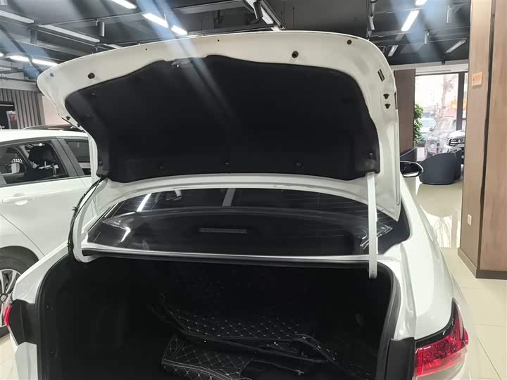 Фото 19 - Toyota Levin