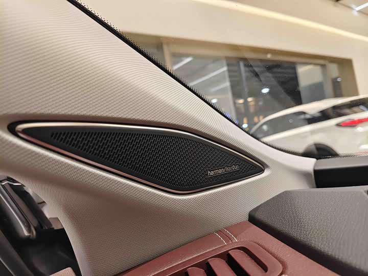 Фото 21 - Volkswagen ID.6 X