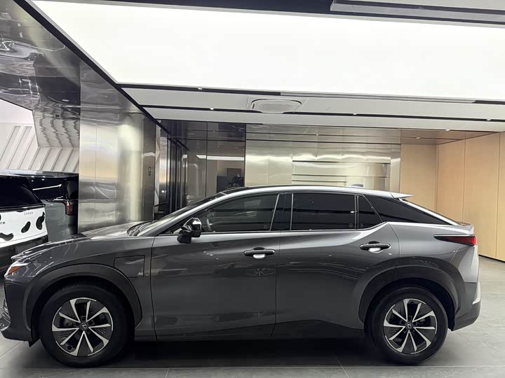 Фото 13 - Lexus RZ