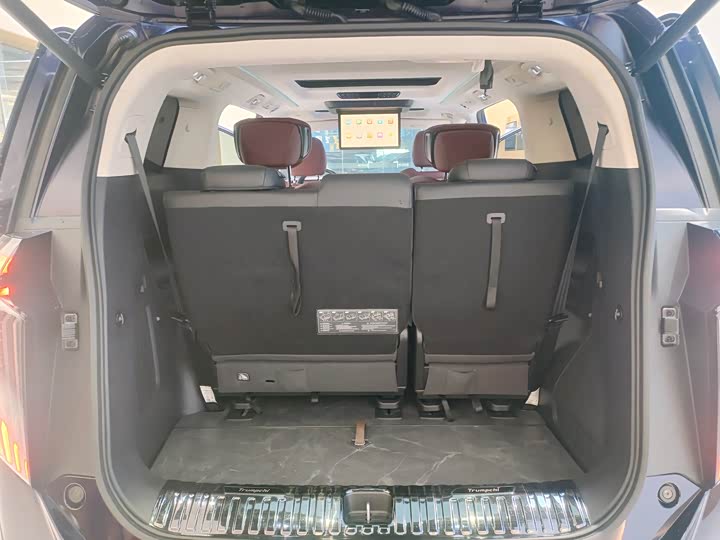 Фото 16 - GAC Trumpchi E9