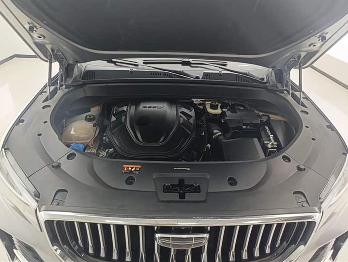 Фото 10 - Geely Monjaro