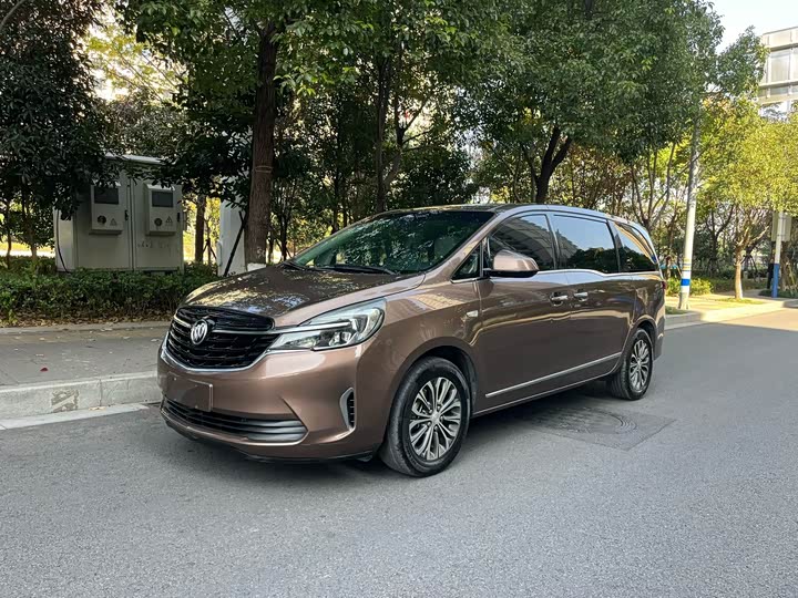 Фото 1 - Buick GL8 ES